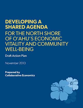 Draft Action Plan - November 2013