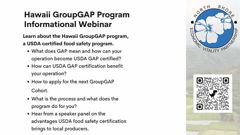 Hawaii GroupGAP Program Informational Webinar Flyer