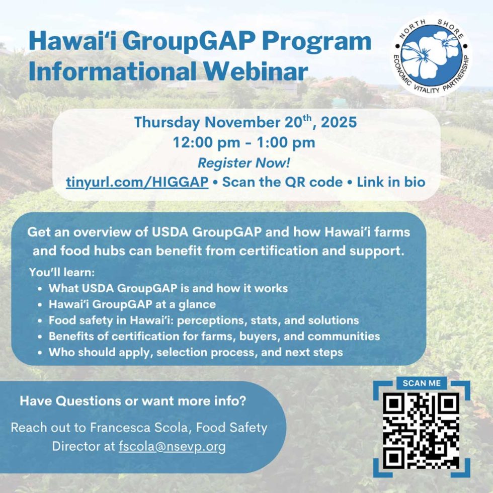 Flyer for Hawaii GroupGAP Program Informational webinar on November 20, 2025. Hosted by NSEVP.