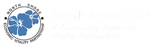 Logo for NSEVP.
