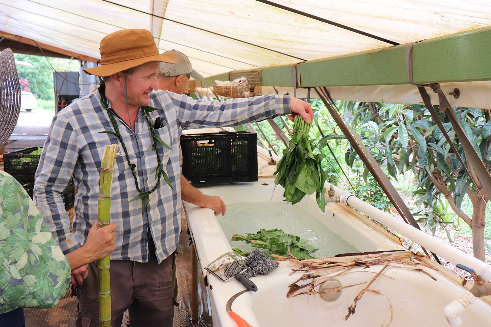 Produce washing demonstration at the Maui Food Safety Summit held May 2026, where North Shore EVP partnered with the UHM-CTAHR Farm Food Safety Program to share farm food safety practices.